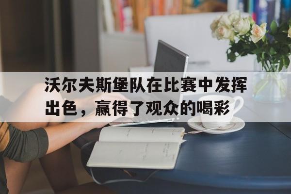 沃尔夫斯堡队在比赛中发挥出色，赢得了观众的喝彩的简单介绍