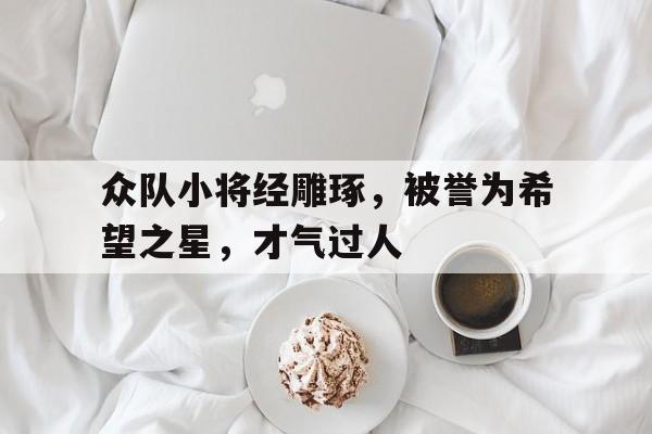 关于众队小将经雕琢，被誉为希望之星，才气过人的信息
